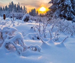 Śnieg, Zima, Słońce