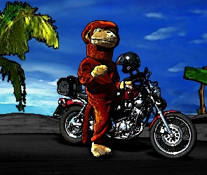 Małpa, na motocyklu