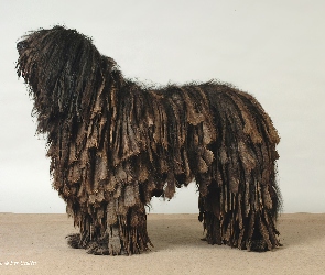 Bergamasco