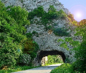 Skała, Tunel, Droga, Drzewa