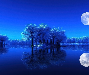 Noc, Drzewa, Woda, Księżyc