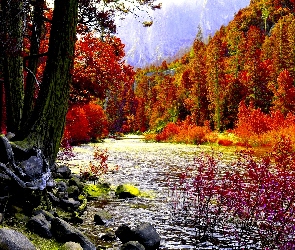 Jesień, Potok, Las, Góry