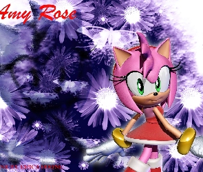 Amy Rose, Sonic