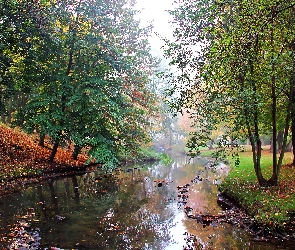 Strumyk, Mgła, Park