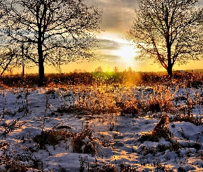 Zima, Zachód Słońca, Drzewa