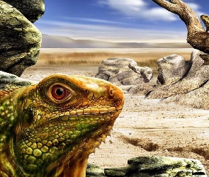 Iguana, Skały