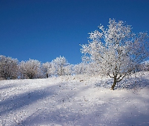 Zimowy, Krajobraz