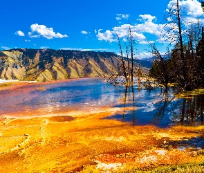 Jezioro, Góry, Kanada, Park Narodowy, Montana, Drzewa