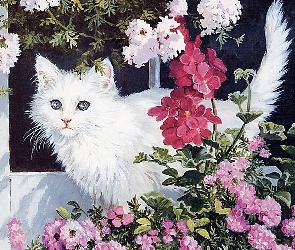 Kot, Kwiaty, Biały