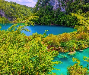 Park, Plitvice, Jezioro