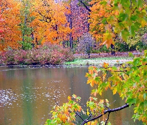 Jeziorko, Jesień, Park