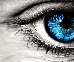 Oko, Rzęsy, Niebieskie