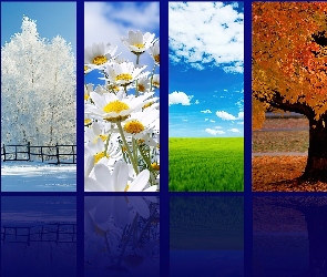 Zima, Jesień, Lato, Wiosna