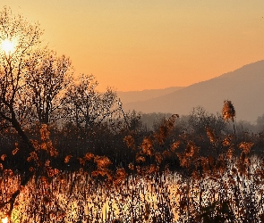 Zachód, Las, Góry, Słońca