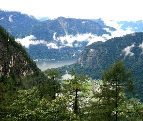 Góry, Austria, Dachstein, Drzewa, Jezioro