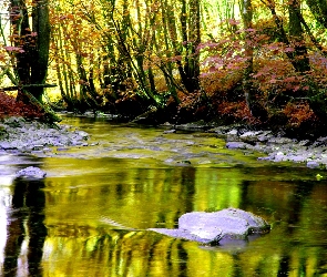 Rzeka, Jesień