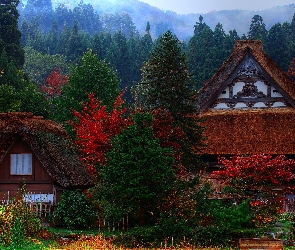 Lasy, Góry, Wioska, Domy