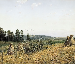 Żniwa, Polesie, Iwan Szyszkin, Reprodukcja, Lato