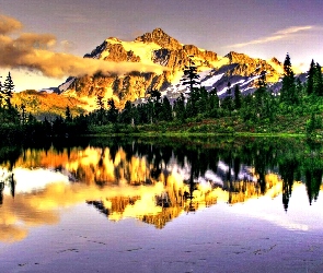 Jezioro, Drzewa, Góry