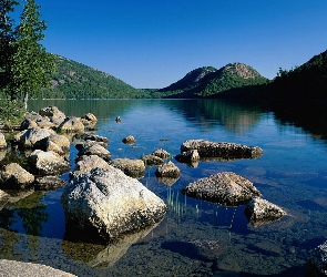 Wzgórza, Lasy, Jezioro, Kamienie