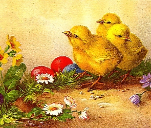 Wielkanoc, Kwiaty, Jajka, Kurczaczki