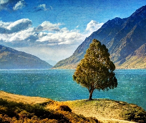 Drzewo, Nowa Zelandia, Hawea, Góry, Jezioro