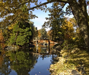 Mostek, Park, Drzewa, Stare, Rzeka