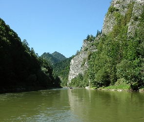 Góry, Drzewa, Dunajec