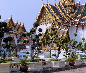 Drzewa, Ozdobne, Bangkok, Pałac