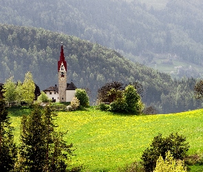 Góry, Las, Łąka, Wieża