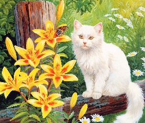 Lilie, Żółte, Biały, Kot