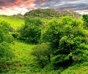 Skały, Dolina, Zielona, Drzewa