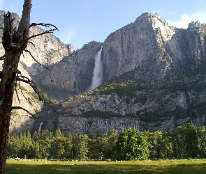Góry, Łąka, Stan Kalifornia, Stany Zjednoczone, Park Narodowy Yosemite, Drzewa