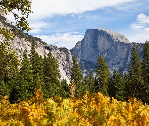 Drzewa, Góry, Stan Kalifornia, Stany Zjednoczone, Park Narodowy Yosemite, Jesień