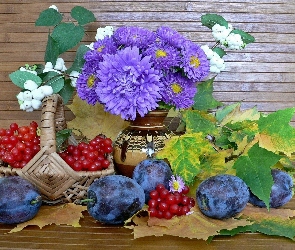 Astry, Liście, Porzeczki, Śliwki, Bukiet