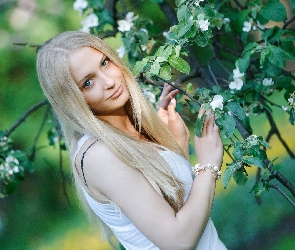 Gałązka, Kwitnąca, Urocza, Blondynka