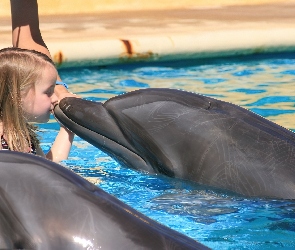 Dziewczynka, Pocałunek, Delfiny