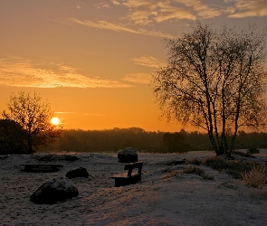 Śnieg, Ławeczka, Słońca, Zachód, Drzewa, Krzewy