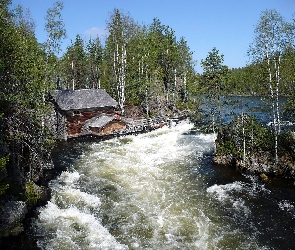 Finlandia, Park Narodowy Oulanka, Domek, Zalesione, Brzegi, Rzeka