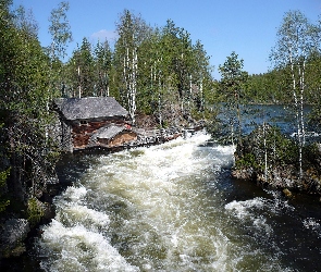 Domek, Brzegi, Park Narodowy Oulanka, Finlandia, Rzeka, Zalesione