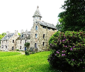 Zamek, Francja, Suscinio