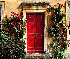 Dom, Róże, Drzwi, Czerwone