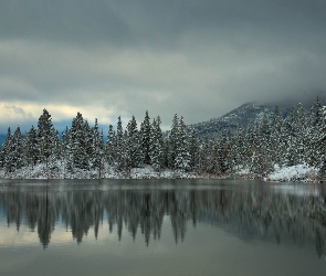 Zima, Jezioro, Góry, Las