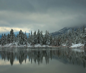 Góry, Zima, Jezioro, Las