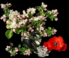 Kwiaty, Tulipan, Drzewa, Bukiet, Kwitnącego