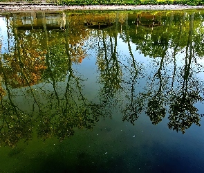 Odbicie, Jesień, Jezioro, Drzewa