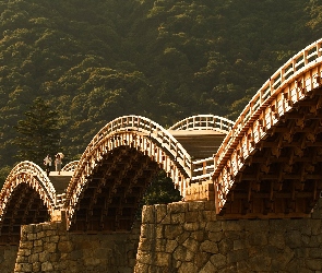 Ludzie, Drzewa, Most