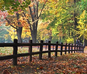 Jesienny, Płotek, Drewniany, Park