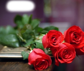 Róże, Bukiet, Czerwone