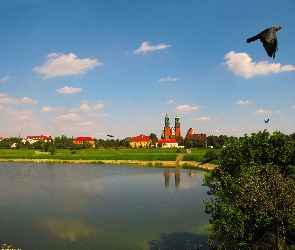Ptak, Warta, Poznań, Katedra